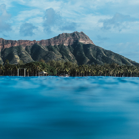 Surf Wall featuring Matt Bauer - Waikiki Beachcomber by Outrigger