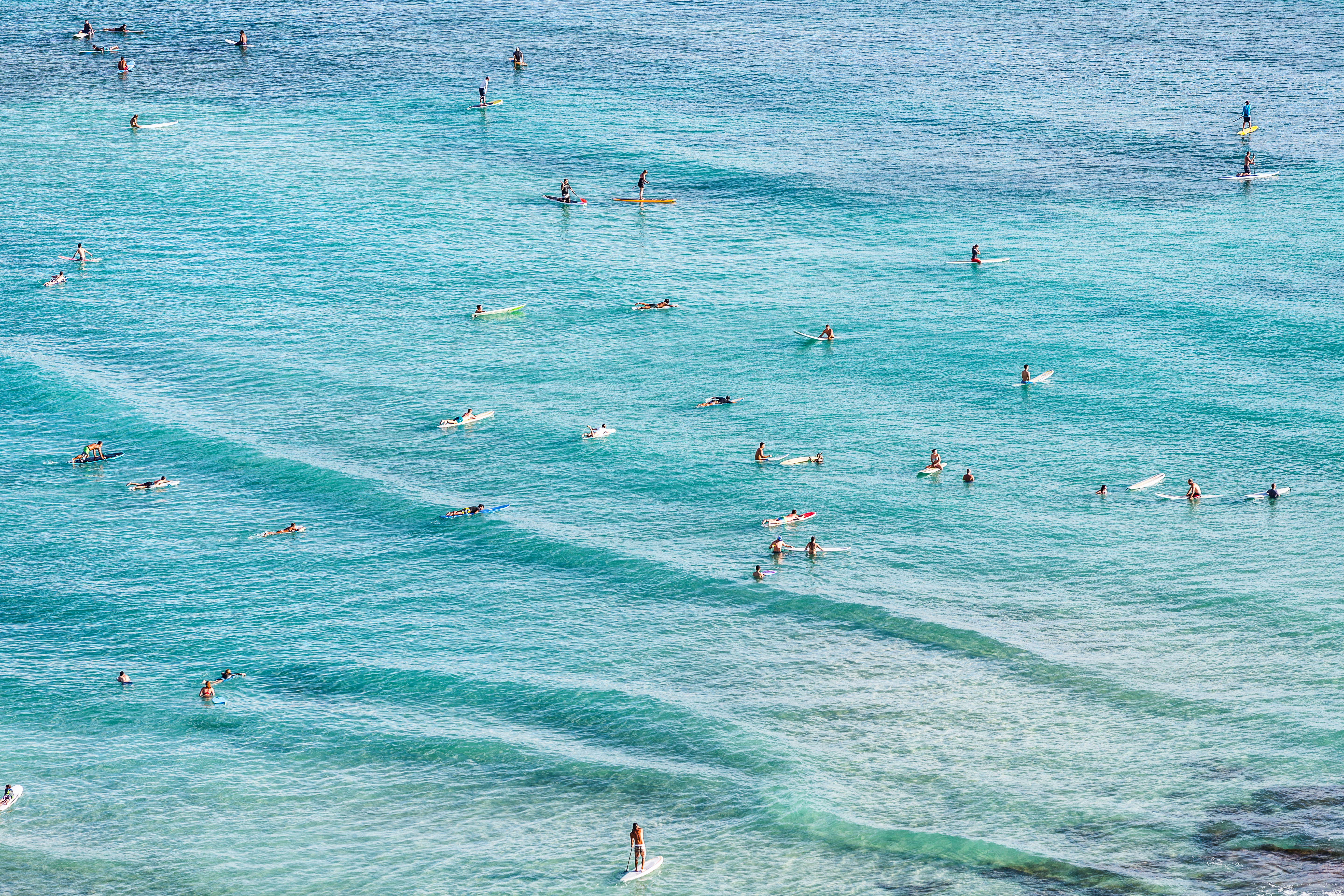 Surfers in Waikiki