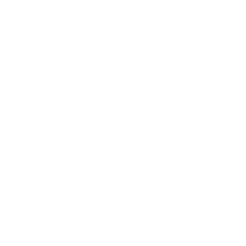 パラダイス・オリジナルズ