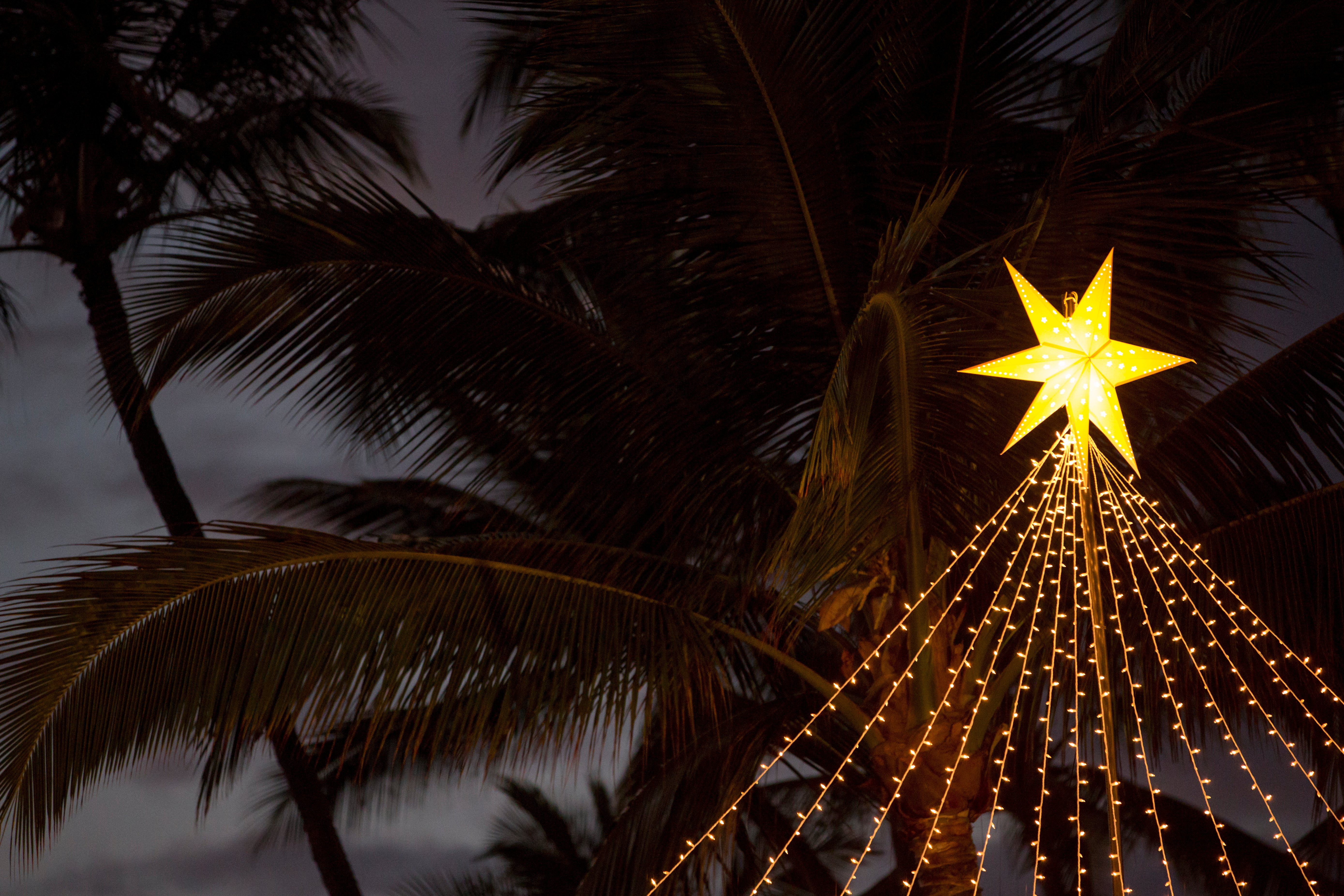 Holidays lights on the beach