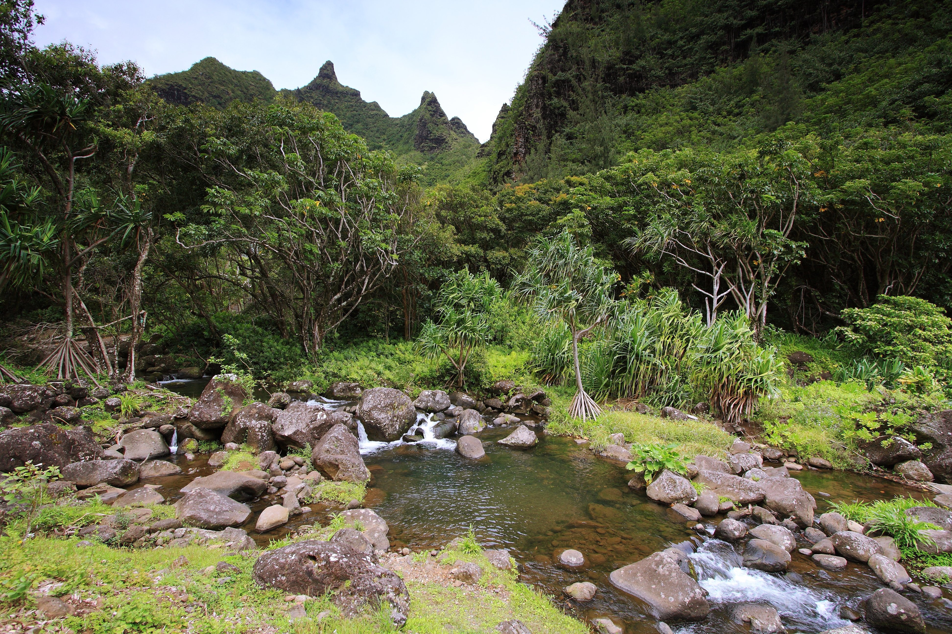 Limahuli gardens, Kauai island